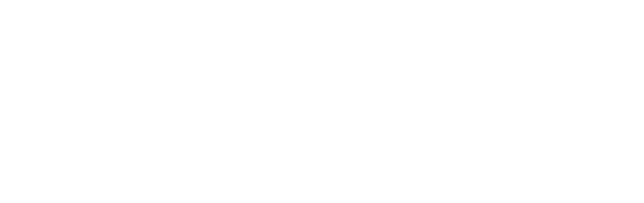 Logo Fundación Letty Rivera